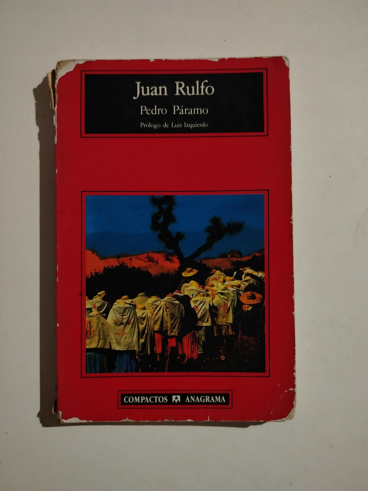 PEDRO PARAMO - JUAL RULFO (DETALLES DE TAPA)