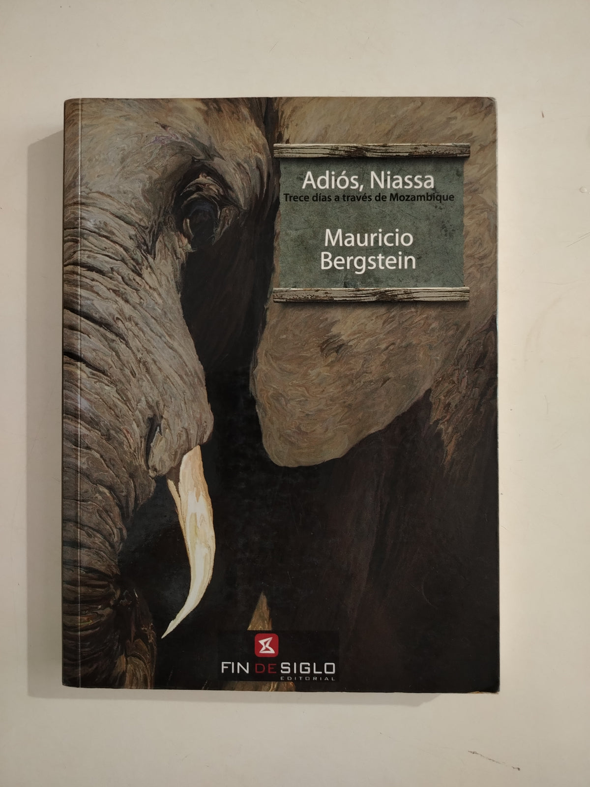ADIOS NIASSA - MAURICIO BERGSTEIN