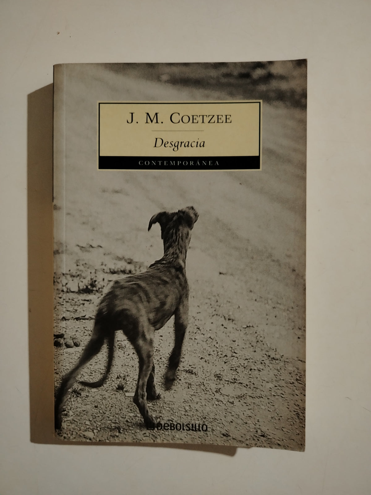 DESGRACIA - J. M. COETZEE