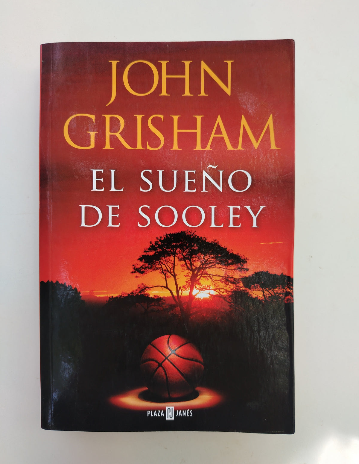 EL SUEÑO DE SOOLEY - JOHN GRISHAM (CON DETALLE)