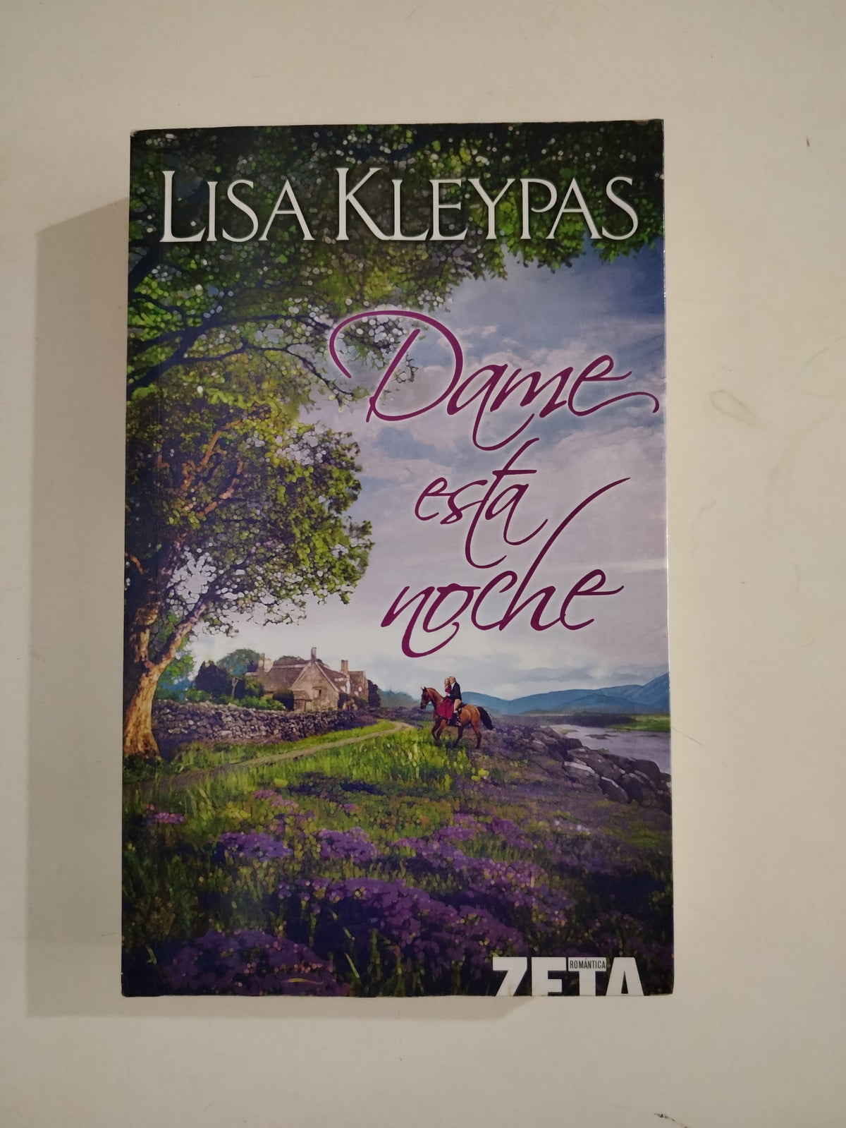 DAME ESTA NOCHE - LISA KLEYPAS