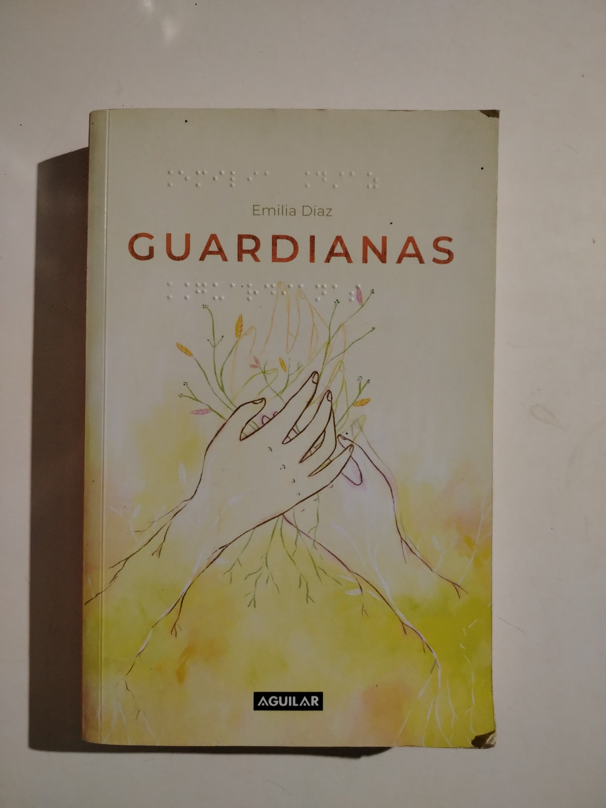 GUARDIANAS - EMILIA DIAZ