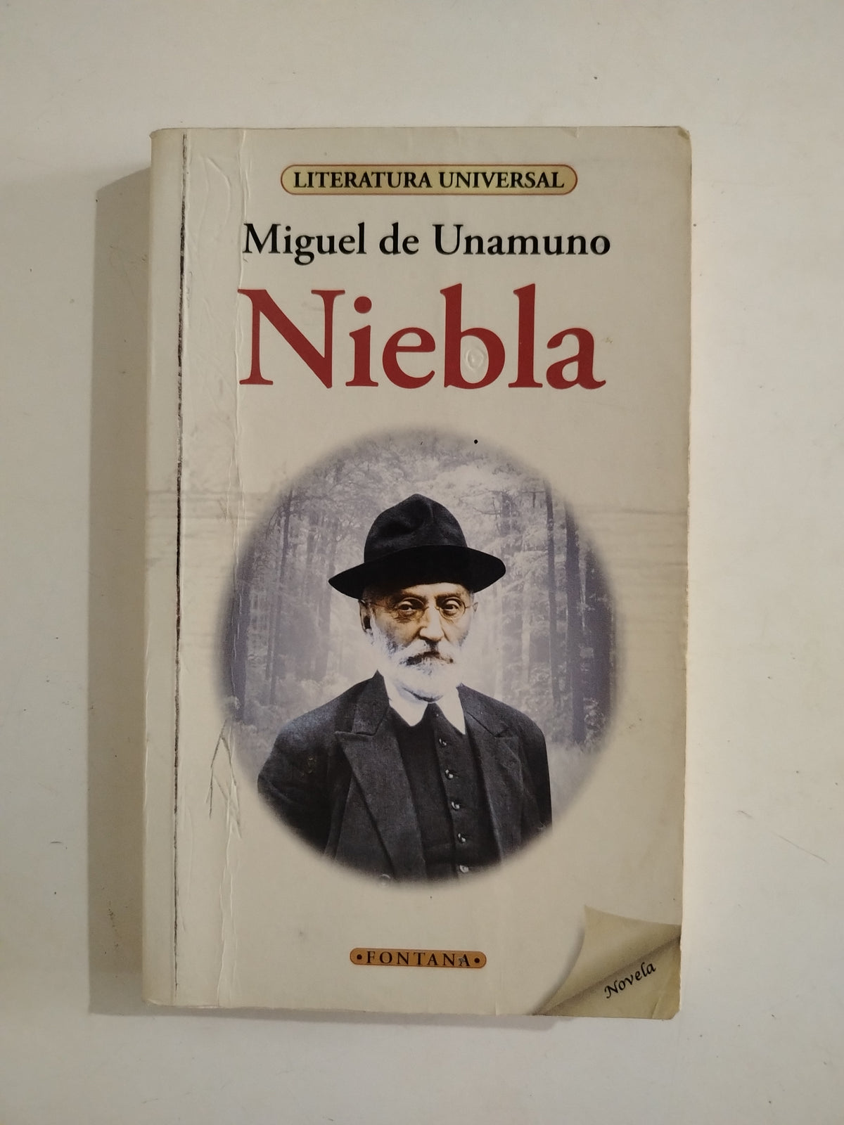 NIEBLA - MIGUEL DE UNAMUNO