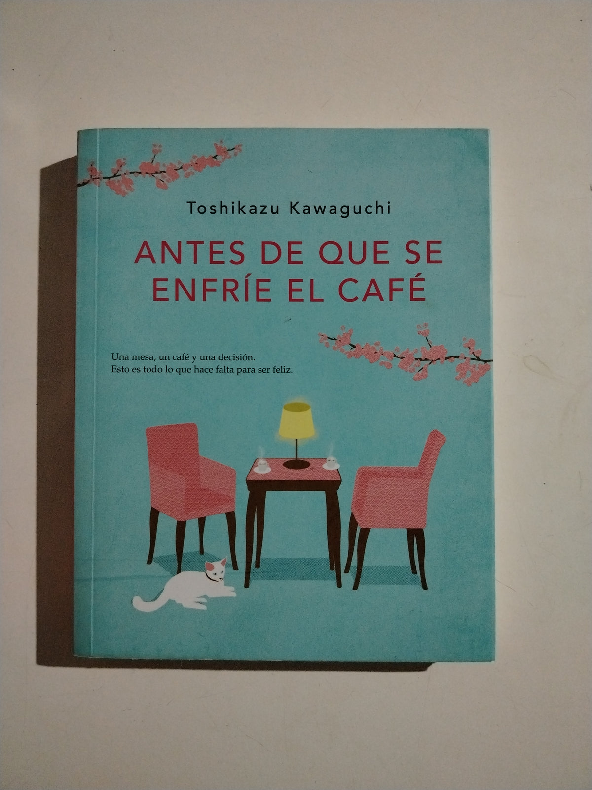 ANTES DE QUE SE ENFRIE EL ACFE - TOSHIKAZU KAWAGUCHI