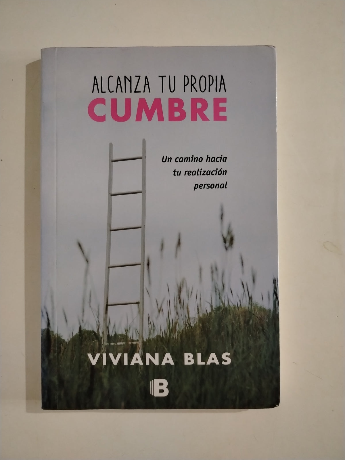 ALCANZA TU PROPIA CUMBRE - VIVIANA BLAS