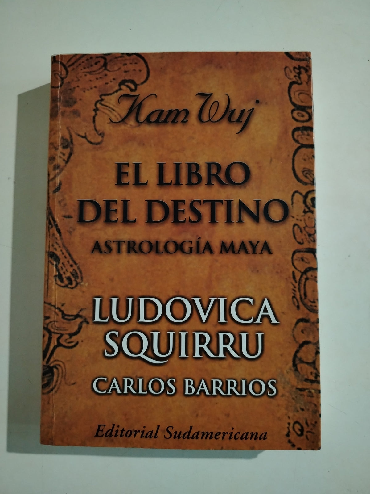 EL LIBRO DEL DESTINO - LUDOVICA SQUIRRU Y CARLOS BARRIOS