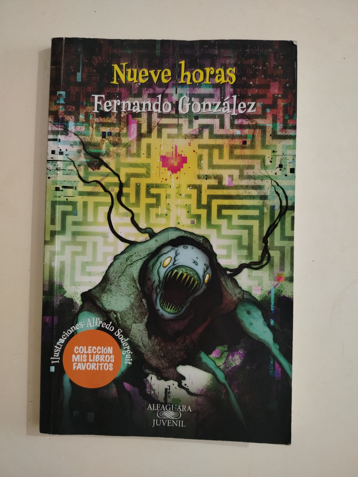 NUEVE HORAS - FERNANDO GONZALEZ