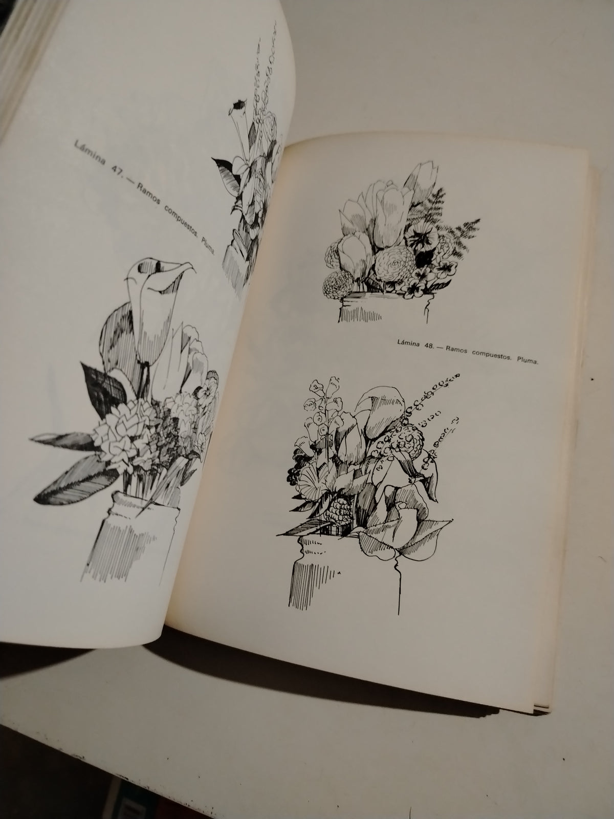 285 MODELOS DE FLORES Y ARBOLES - JUAN T. COMAMALA (DIBUJOS)