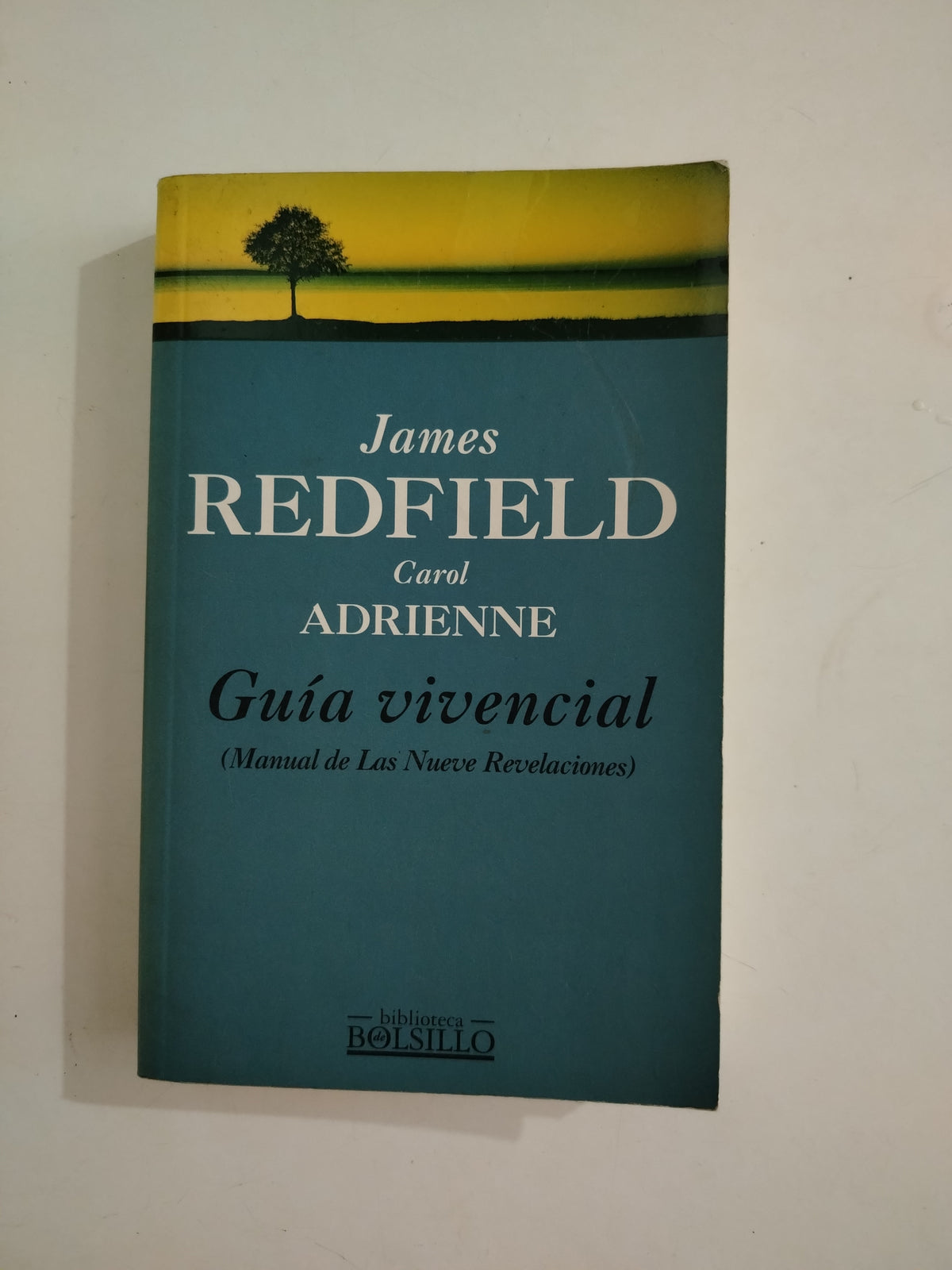 GUIA VIVENCIAL - JAMES REDFIELD
