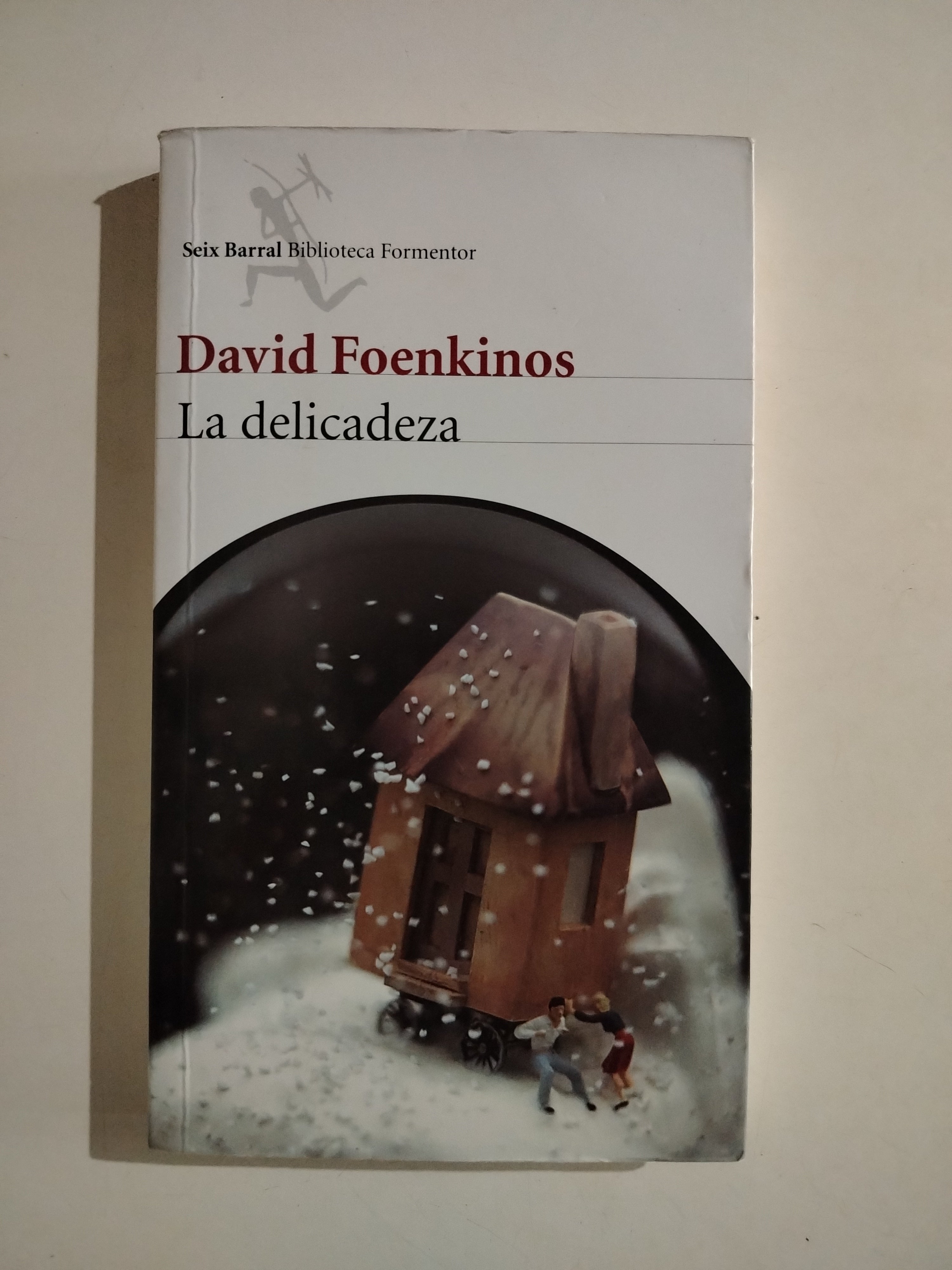 LA DELICADEZA - DAVID FOENKINOS